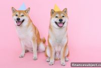 Shiba Inu vs Dogecoin: Are Memecoins Worth Investing In?