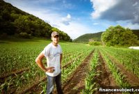 Can You Gift a Farm to Your Children to Reduce Taxes?