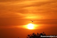 Is the 60/40 Portfolio Still Worth It for Retirees?