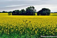 Buying Property in Durham Region, Ontario, Canada 2023