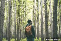ESG Reporting in Canada: What Investors Need to Know