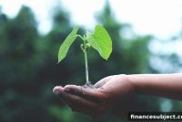 Budget Friendly Sustainable Living: Eco Products and Strategies