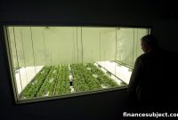 US Rescheduling Talks Send Canadian Cannabis Stocks Higher