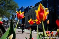 Bank of Canada Weighed Delaying Rate Cuts Until July