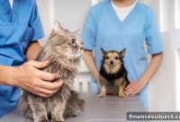 Why Is Vet Care So Expensive?
