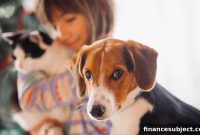 Protect Your Pets After You Die: Create a Pet Trust