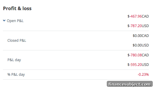Screen Shot of portfolio performance