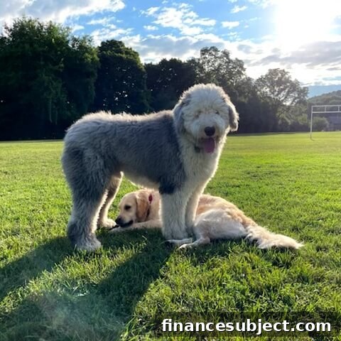 img 341210 1