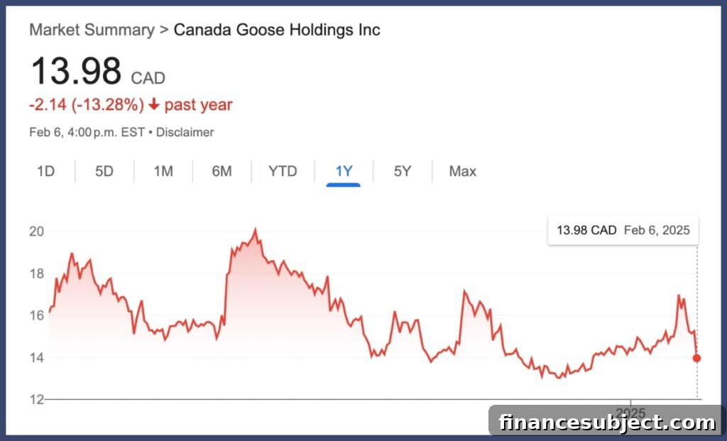 Canada Goose store