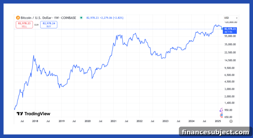 Is the Bitcoin Bubble Over? What Investors Should Know 2 Bitcoin graph from 2017 to 2025