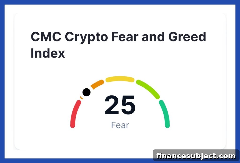 Is the Bitcoin Bubble Over? What Investors Should Know 3 Screenshot of the CMC Crypto Fear and Greed Index with a score of 25