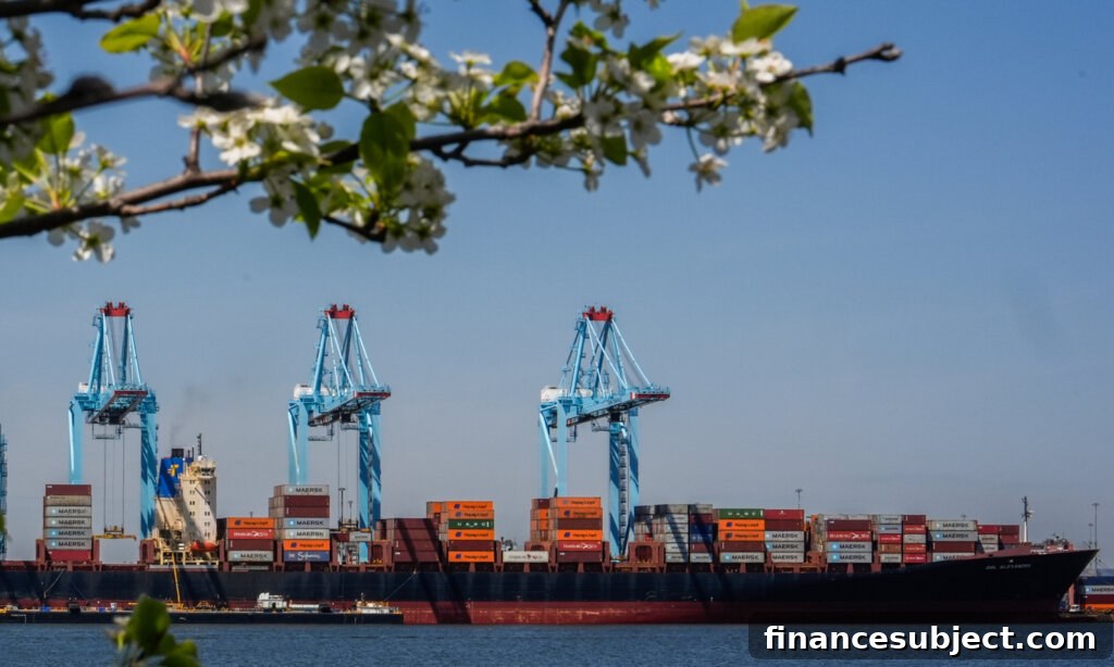 Shipping containers docking in the U.S.