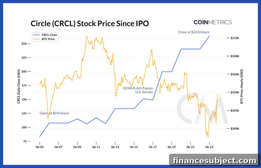 Line graph of fast-rising CRCL stock price