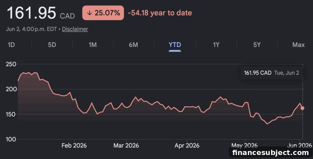 Shopify stock illustration